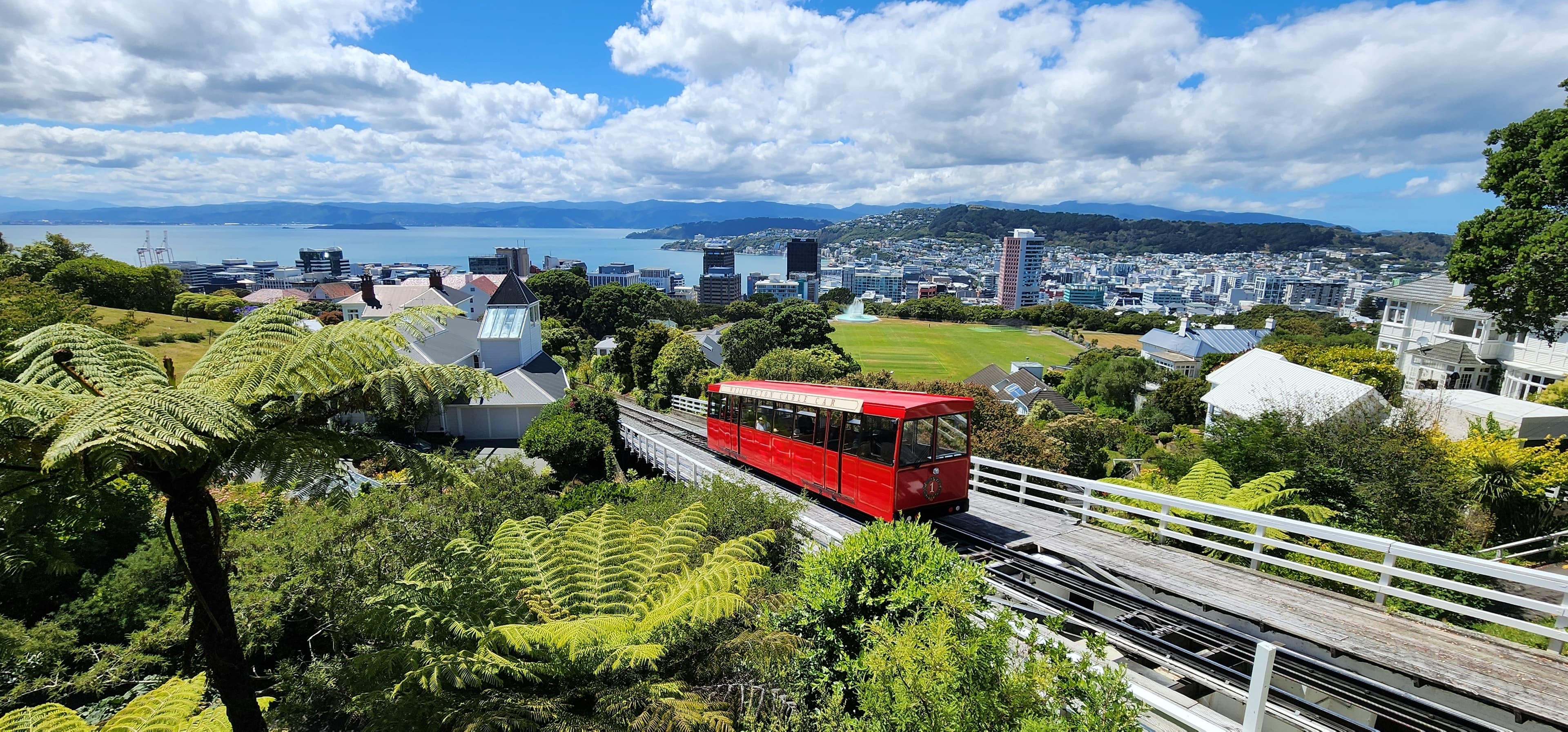 WELLINGTON office